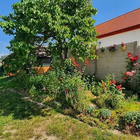 In - Balaton 20318 * Zamárdi