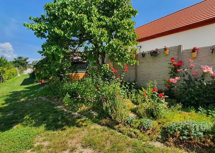 In - Balaton 20318 * Zamardi