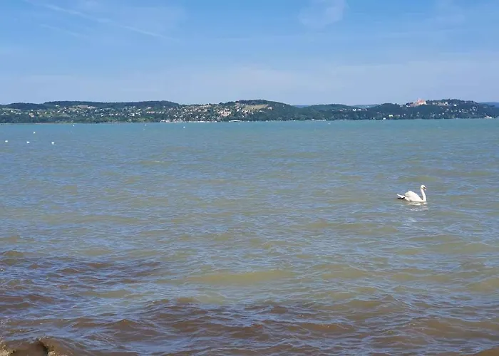 In - Balaton 20318 *