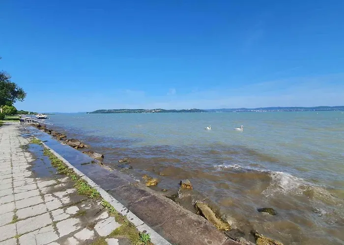 In - Balaton 20318 *